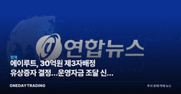 에이루트, 30억원 제3자배정 유상증자 결정…운영자금 조달 신호 읽기