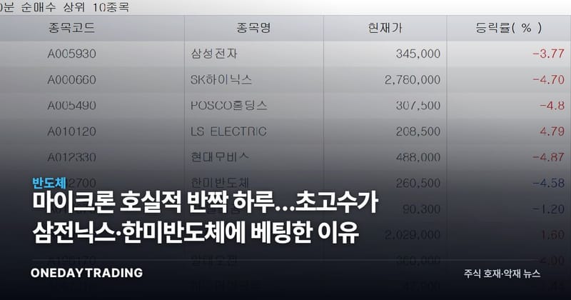 마이크론 호실적 반짝 하루…초고수가 삼전닉스·한미반도체에 베팅한 이유