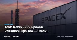 Tesla Down 30%, SpaceX Valuation Slips Too — Cracks Emerge in Korean Retail's 30 Trillion Won Bet
