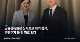 금융감독원장 싱가포르 회의 참석, 은행주가 볼 건 따로 있다