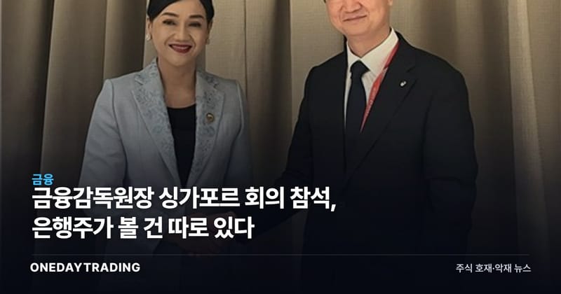 금융감독원장 싱가포르 회의 참석, 은행주가 볼 건 따로 있다
