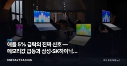 애플 5% 급락의 진짜 신호 — 메모리값 급등과 삼성·SK하이닉스 수혜