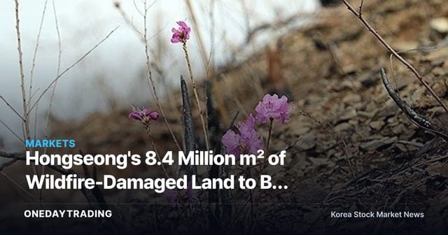 Hongseong's 8.4 Million ㎡ of Wildfire-Damaged Land to Be Restored as a Forest-Income Model Forest — Advancing Carbon Neutrality