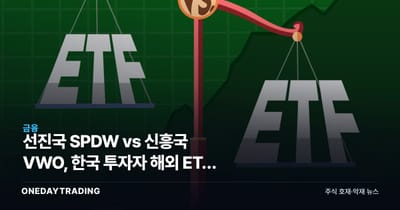 선진국 SPDW vs 신흥국 VWO, 한국 투자자 해외 ETF 선택 기준 분석