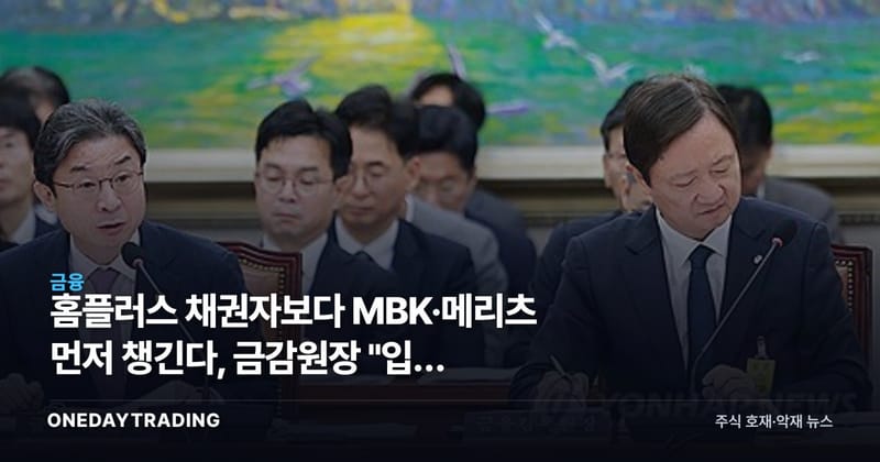 홈플러스 채권자보다 MBK·메리츠 먼저 챙긴다, 금감원장 "입법 시정" 촉구