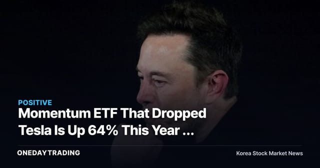 Momentum ETF That Dropped Tesla Is Up 64% This Year — The Light and Shadow of Concentration in Samsung Electronics and SK hynix