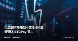 비트코인 라이트닝 결제서버 또 뚫렸다, BTCPay '즉시 업데이트' 초강수 권고