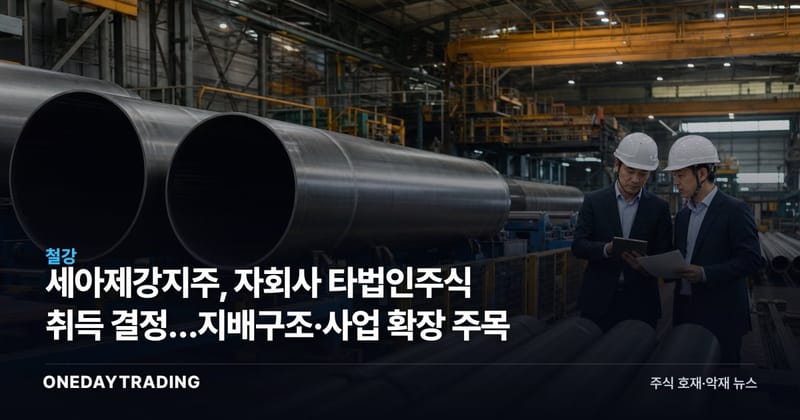 세아제강지주, 자회사 타법인주식 취득 결정…지배구조·사업 확장 주목