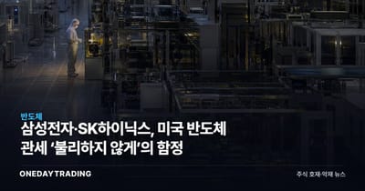 삼성전자·SK하이닉스, 미국 반도체 관세 ‘불리하지 않게’의 함정