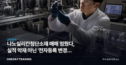 나노실리칸첨단소재 매매 멈췄다, 실적 악재 아닌 '전자등록 변경' 탓**