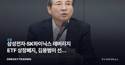 삼성전자·SK하이닉스 레버리지 ETF 상장폐지, 김용범이 선을 그은 이유