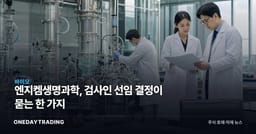 엔지켐생명과학, 검사인 선임 결정이 묻는 한 가지