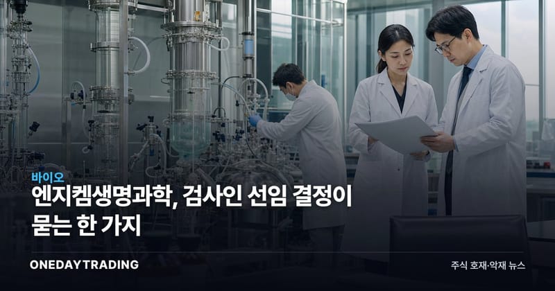 엔지켐생명과학, 검사인 선임 결정이 묻는 한 가지
