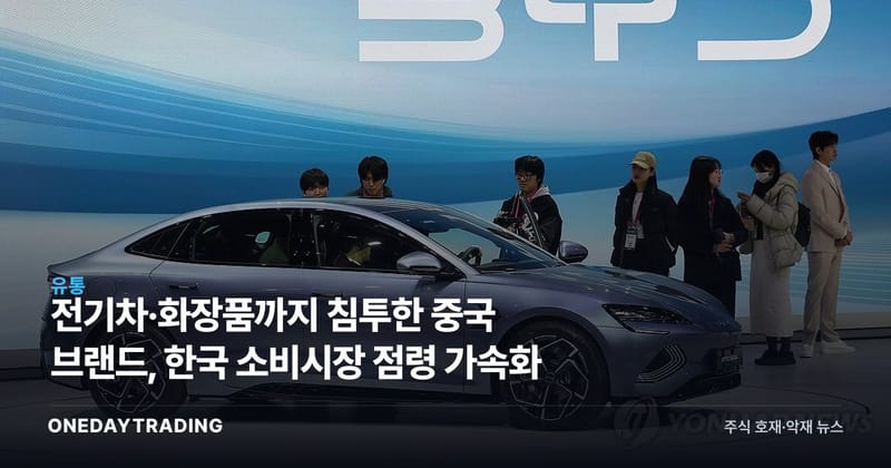 전기차·화장품까지 침투한 중국 브랜드, 한국 소비시장 점령 가속화