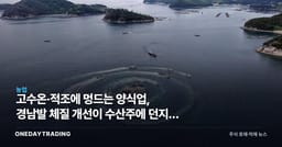 고수온·적조에 멍드는 양식업, 경남발 체질 개선이 수산주에 던지는 신호