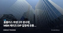 홈플러스 회생 2주 분수령, MBK·메리츠 DIP 갈등에 유통주 반사이익 주목