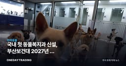 국내 첫 동물복지과 신설, 부산보건대 2027년 첫 신입생…반려동물 산업 신호탄