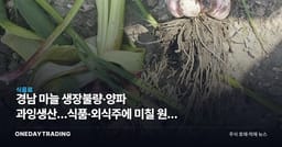경남 마늘 생장불량·양파 과잉생산…식품·외식주에 미칠 원가 변수 점검