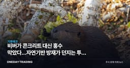 비버가 콘크리트 대신 홍수 막았다…자연기반 방재가 던지는 투자 신호