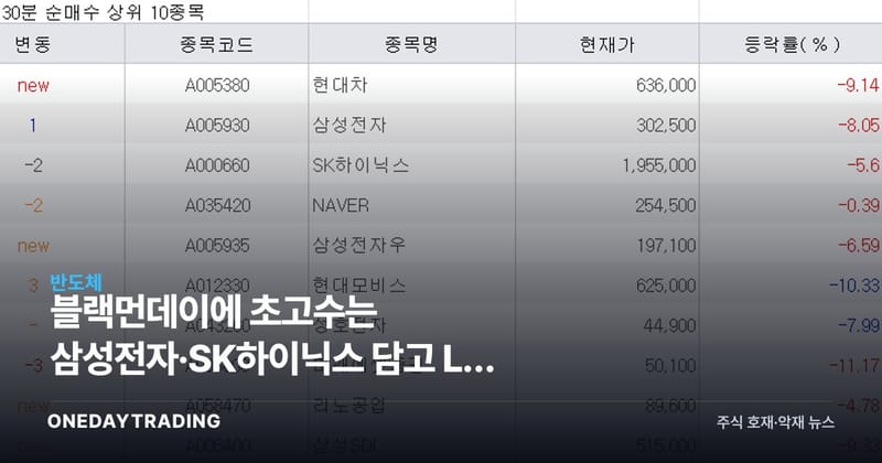 블랙먼데이에 초고수는 삼성전자·SK하이닉스 담고 LG 팔았다, 반도체 투톱 매수 신호
