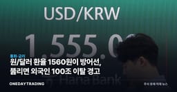 원/달러 환율 1560원이 방어선, 뚫리면 외국인 100조 이탈 경고