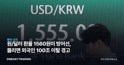 원/달러 환율 1560원이 방어선, 뚫리면 외국인 100조 이탈 경고