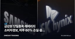 금감원 단일종목 레버리지 소비자경보, 하루 60% 손실·음의 복리 리스크 분석
