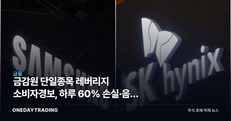 금감원 단일종목 레버리지 소비자경보, 하루 60% 손실·음의 복리 리스크 분석