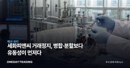 세화피앤씨 거래정지, 병합·분할보다 유동성이 먼저다