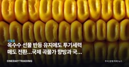 옥수수 선물 반등 유지에도 투기세력 매도 전환…국제 곡물가 향방과 국내 사료·식품주 영향