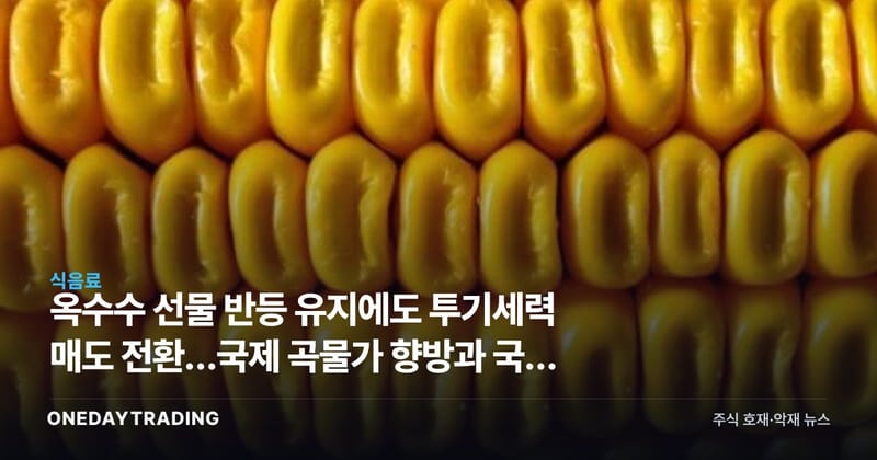 옥수수 선물 반등 유지에도 투기세력 매도 전환…국제 곡물가 향방과 국내 사료·식품주 영향