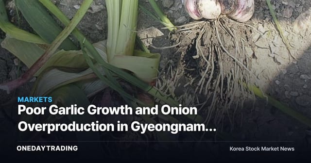 Poor Garlic Growth and Onion Overproduction in Gyeongnam: Examining the Cost Variables Facing Food and Restaurant Stocks