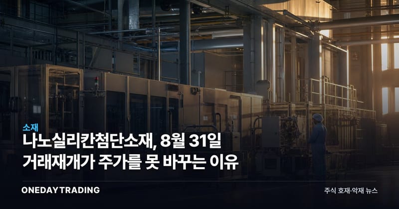 나노실리칸첨단소재, 8월 31일 거래재개가 주가를 못 바꾸는 이유
