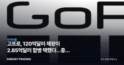 고프로, 120억달러 제왕이 2.85억달러 합병 택했다…중국 액션캠의 역습