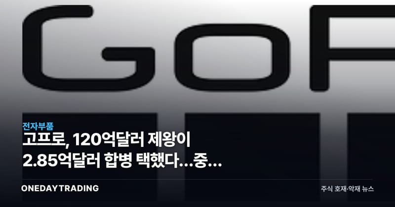 고프로, 120억달러 제왕이 2.85억달러 합병 택했다…중국 액션캠의 역습