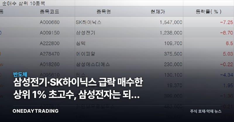 삼성전기·SK하이닉스 급락 매수한 상위 1% 초고수, 삼성전자는 되레 팔았다