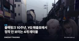 블랙핑크 10주년, YG 매출표에서 정작 안 보이는 4개 레이블
