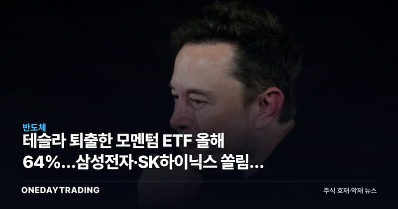 테슬라 퇴출한 모멘텀 ETF 올해 64%…삼성전자·SK하이닉스 쏠림의 빛과 그림자