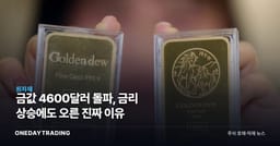 금값 4600달러 돌파, 금리 상승에도 오른 진짜 이유