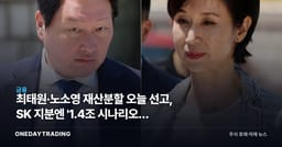 최태원·노소영 재산분할 오늘 선고, SK 지분엔 '1.4조 시나리오' 변수