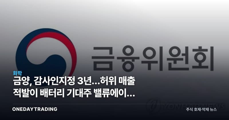 금양, 감사인지정 3년…허위 매출 적발이 배터리 기대주 밸류에이션 흔든다