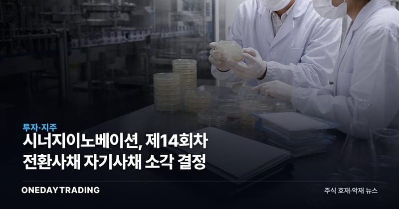 시너지이노베이션, 제14회차 전환사채 자기사채 소각 결정