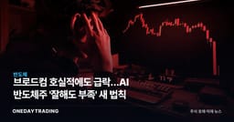 브로드컴 호실적에도 급락…AI 반도체주 '잘해도 부족' 새 법칙