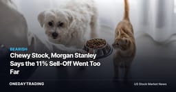 Chewy Stock, Morgan Stanley Says the 11% Sell-Off Went Too Far